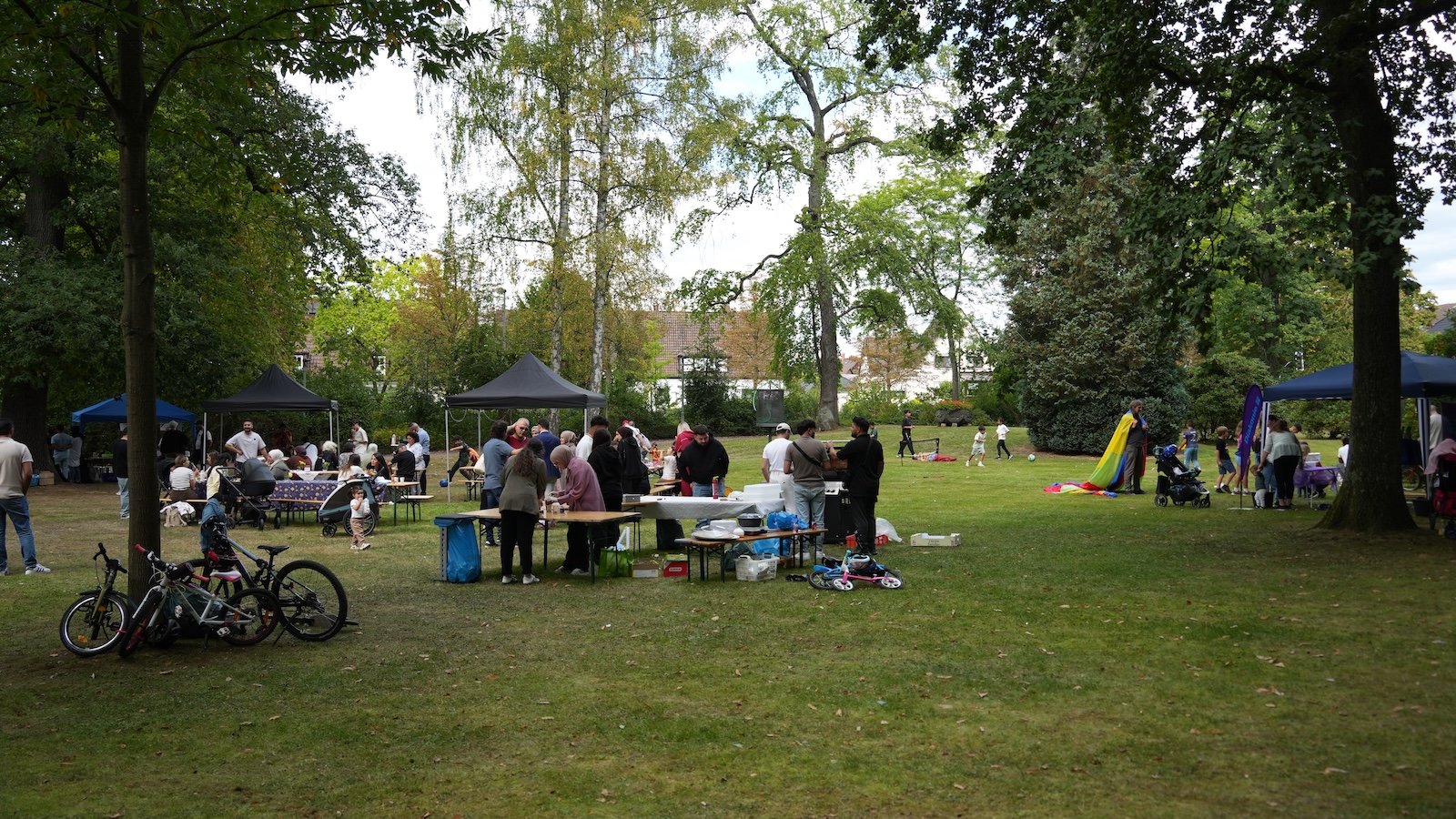 Sommerfest der Kulturen begeistert im Kaufmannsgarten