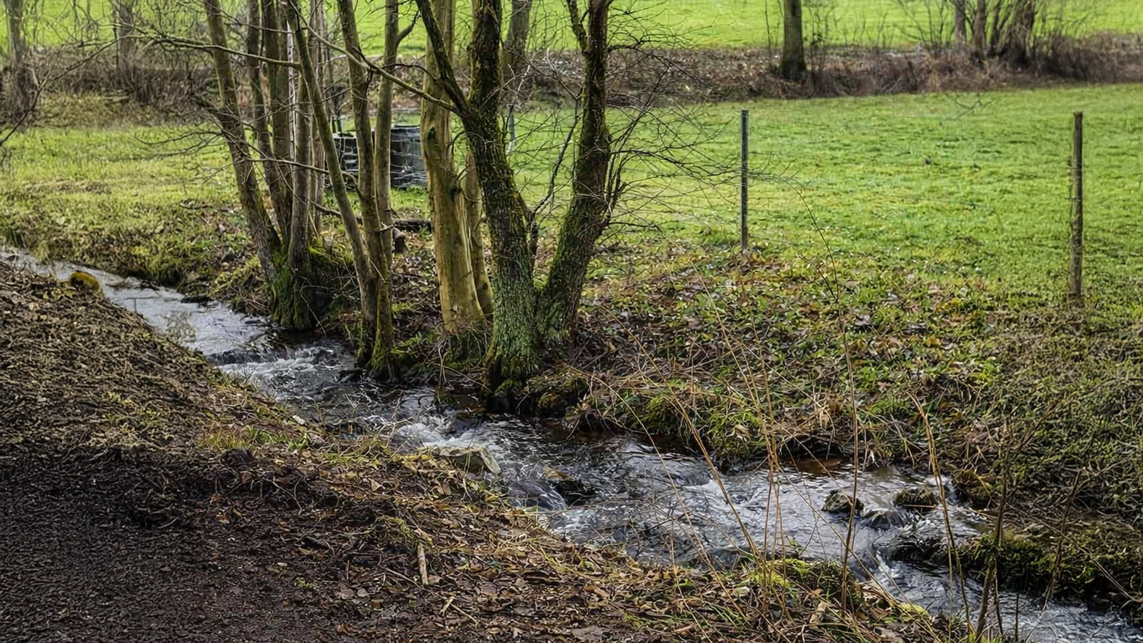 Sollingverein organisiert Wanderung zum „Tag des Wanderns 2026“ rund um Hasselbach bei Holzminden