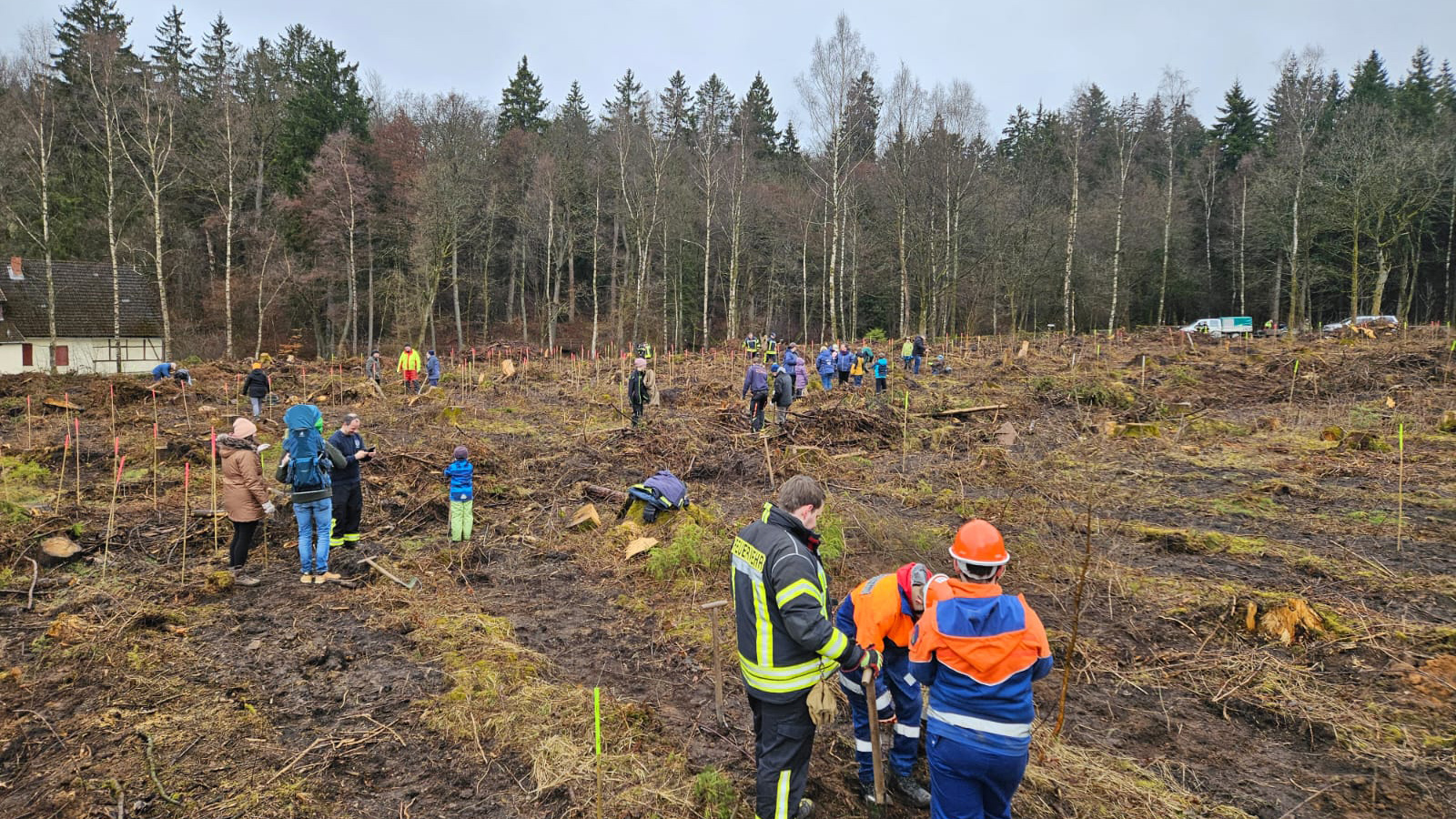 Feuerwehr-Nachwuchs pflanzt 2000 Bäume für neuen Schulwald bei Neuhaus