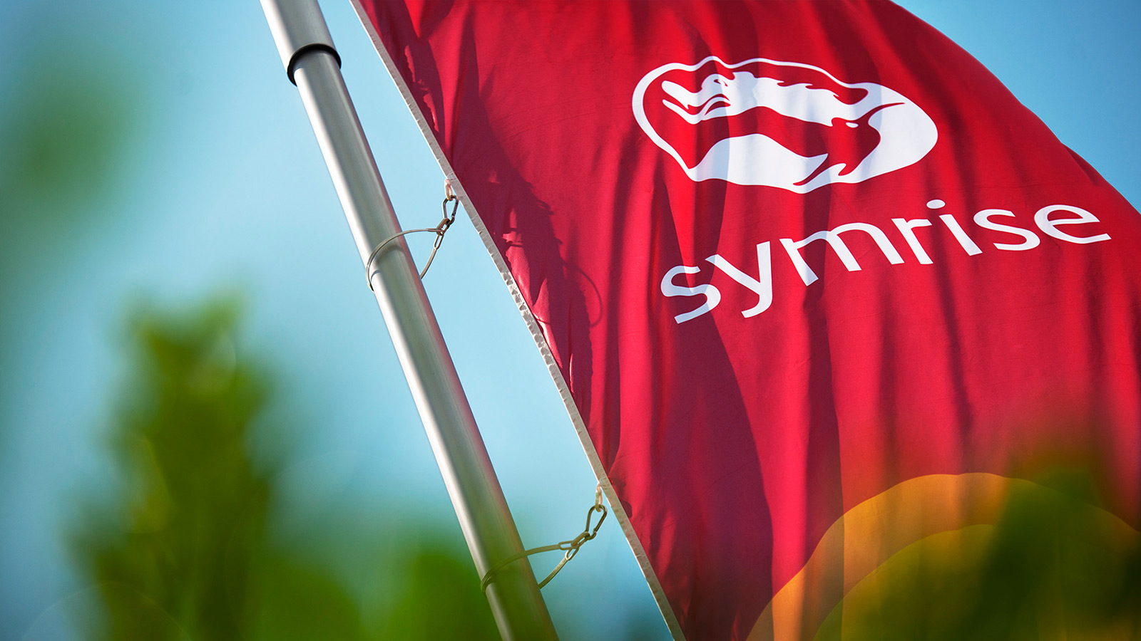 Symrise gründet Geschäftsbereich Care & Wellness: Fokus auf integrierte Gesundheits- und Schönheitslösungen