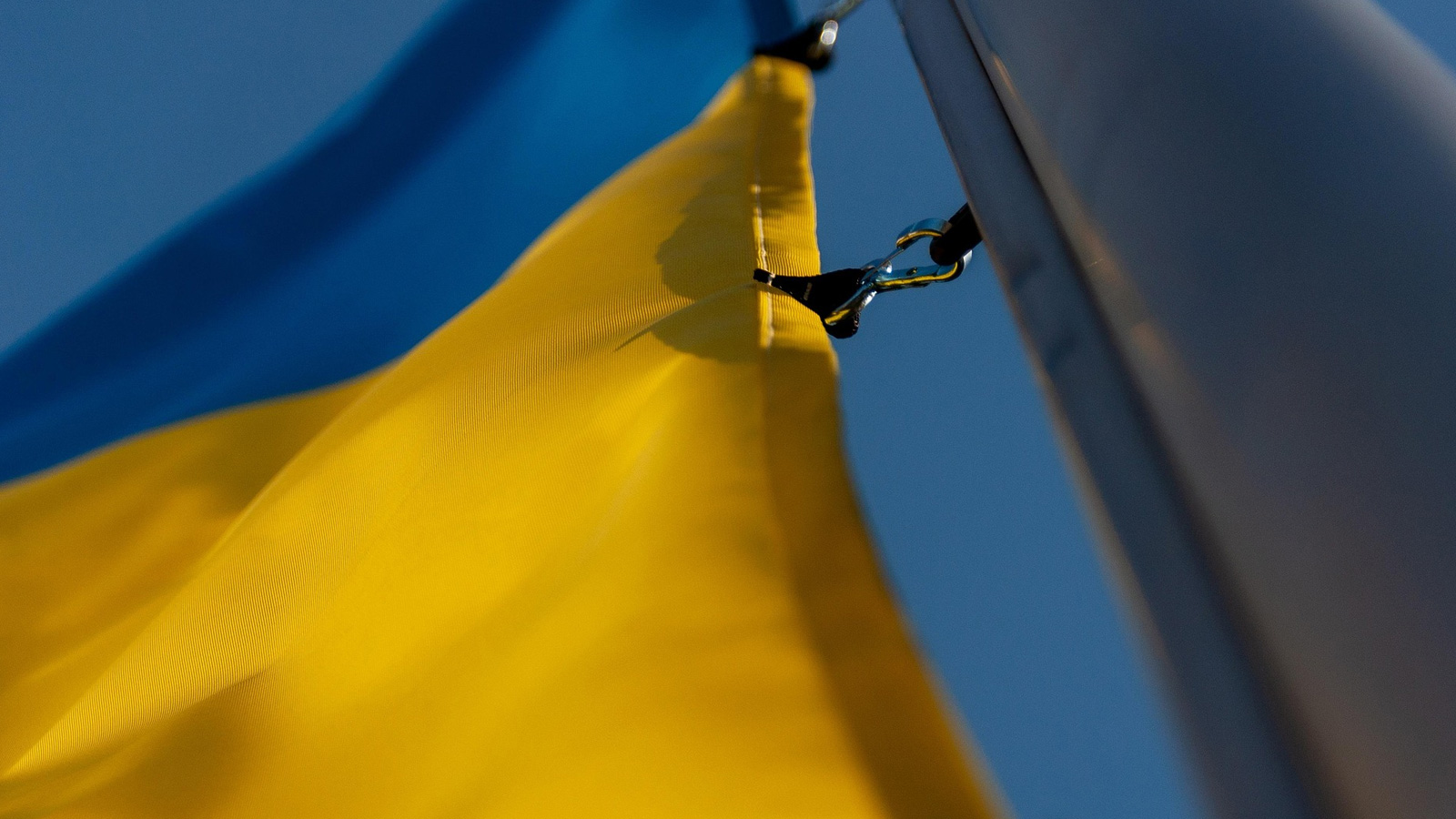 Stadt Holzminden setzt Zeichen: Beflaggung in Solidarität mit der Ukraine am 23. Februar 2026