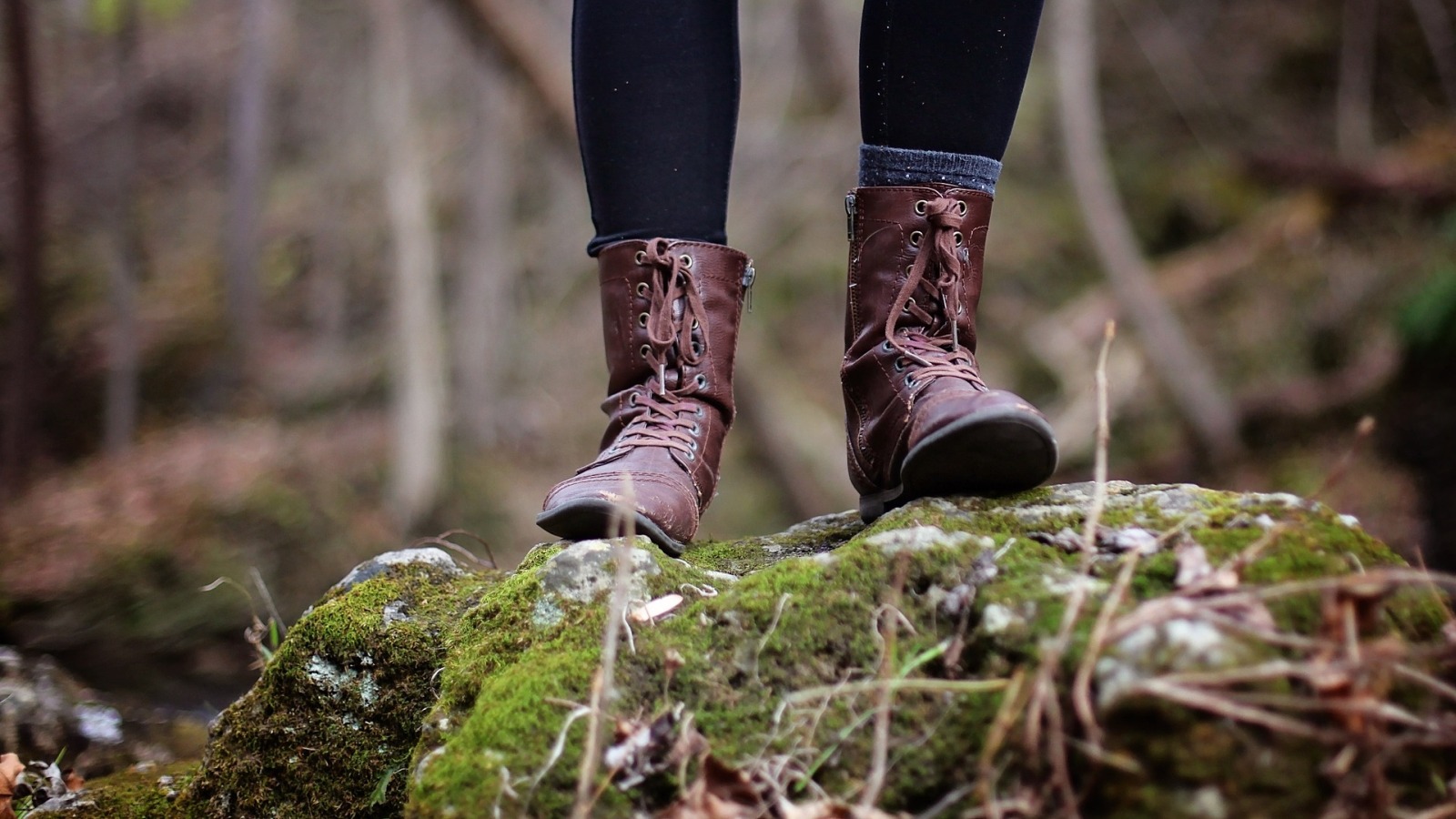 Drei Strecken und geselliges Beisammensein beim Volkswandertag in Silberborn