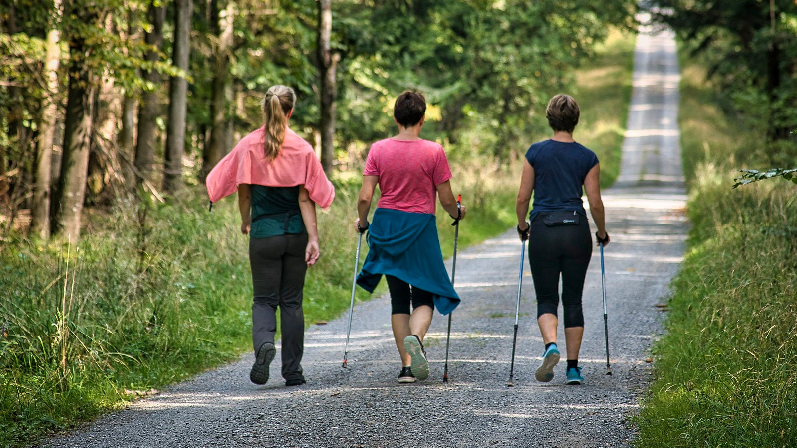 „Solling-Zweigverein Neuhaus“ lädt zu Ferienaktion mit Wanderung oder Fahrradtour nach Amelith ein